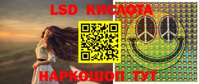 индика Обнинск