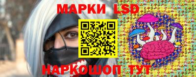 индика Обнинск