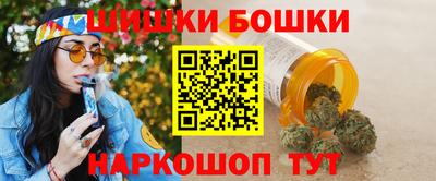 индика Обнинск