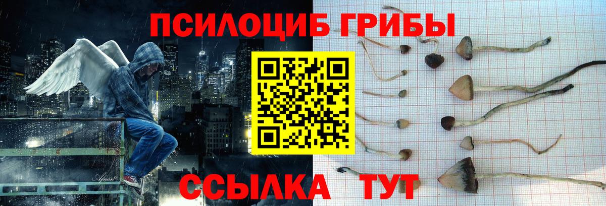 Галлюциногенные грибы Psilocybine cubensis Тольятти