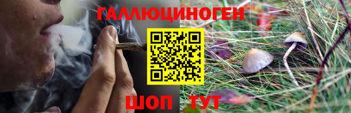 Псилоцибиновые грибы прущие грибы  Галлюциногенные грибы Psilocybine cubensis  Тольятти  Вход с VPN 